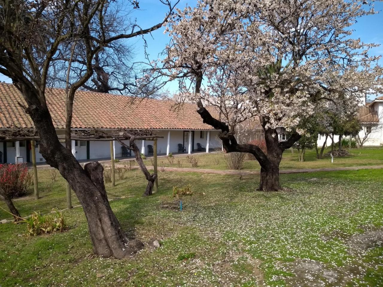 Hotel Plaza Malloa Exterior foto